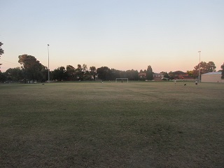 Argyle Reserve Dog Off Leash Area (Hughesdale)